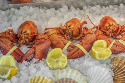 Vin et Marée Maine - Montparnasse