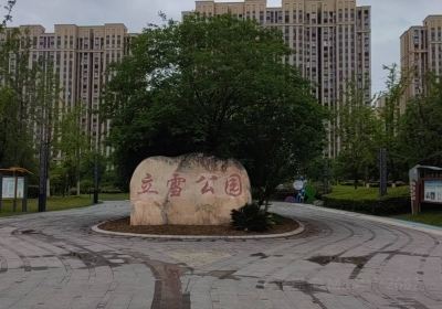 Wetland Park