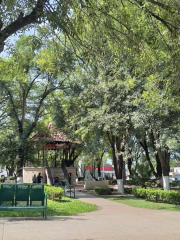 Plaza Del Cercado