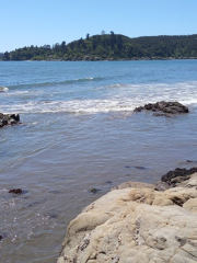 Playa de Colcura