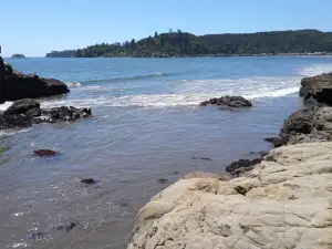 Playa de Colcura