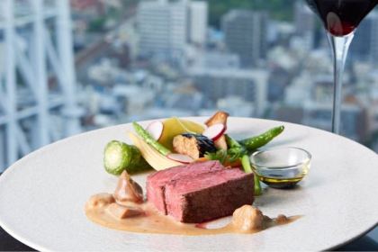 Sky Lounge Top Of Tree