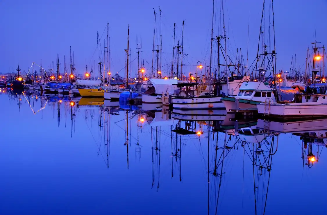 피셔민스 터미널 주변 호텔