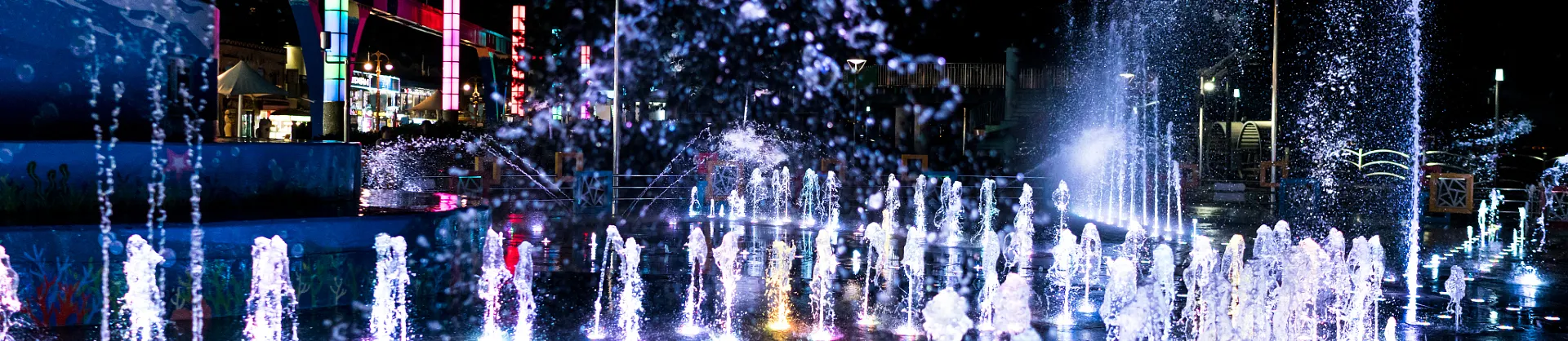 Night Attractions