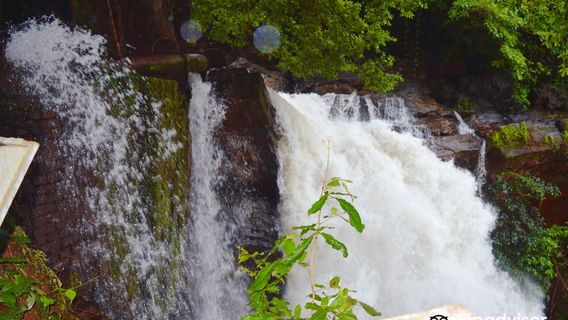 Harvalem Waterfalls
