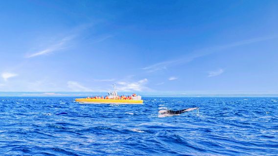 St. Lawrence River (Fleuve Saint-Laurent)