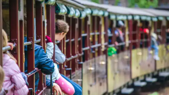 [Special Offer from November 11th to 14th] Melbourne Puffing Billy Steam Train + Phillip Island Day Trip