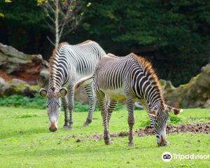香港-阿尼夫 機票酒店 自由行