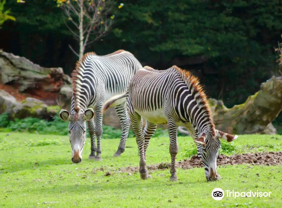 Hotels near Salzburg Zoo Hellbrunn