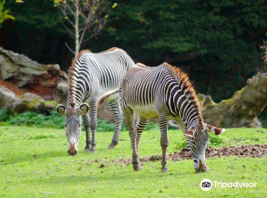 Salzburg Zoo Hellbrunn