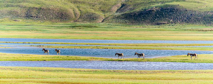 Qinghaisheng Sanjiang Yuanma Duo National Park