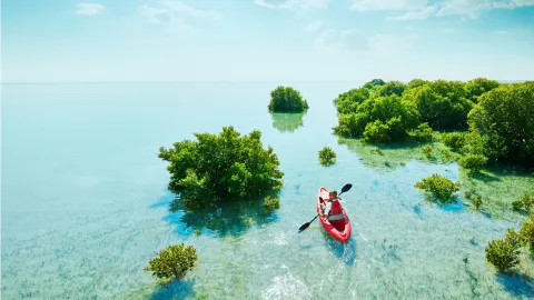 Al Khor travel destination