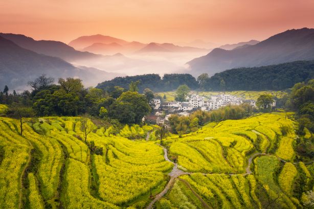 Terraced Field Sightseeing in Shangrao