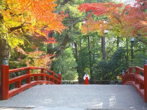 Tsurugaoka Hachimangu