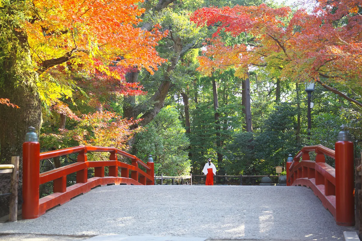 5_ศาลเจ้าสึรุงะโอะกะ ฮะจิมัง