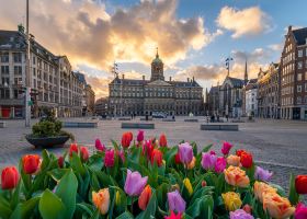 Transavia Faro Amsterdam