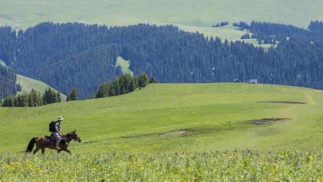 Horse Riding in Ili