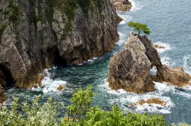 Iwami