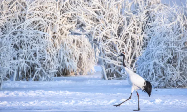 Zarong พื้นที่ท่องเที่ยวเชิงนิเวศ