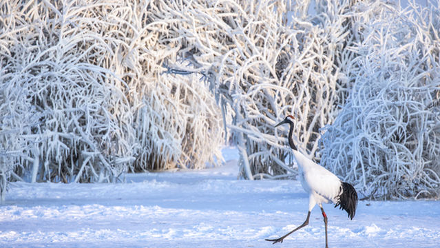 자룡 생태 관광지