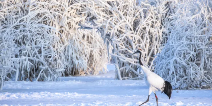 紮龍生態旅遊區