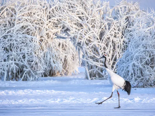 紮龍生態旅遊區