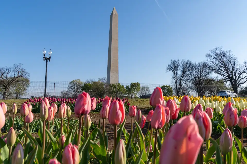 3_National Mall