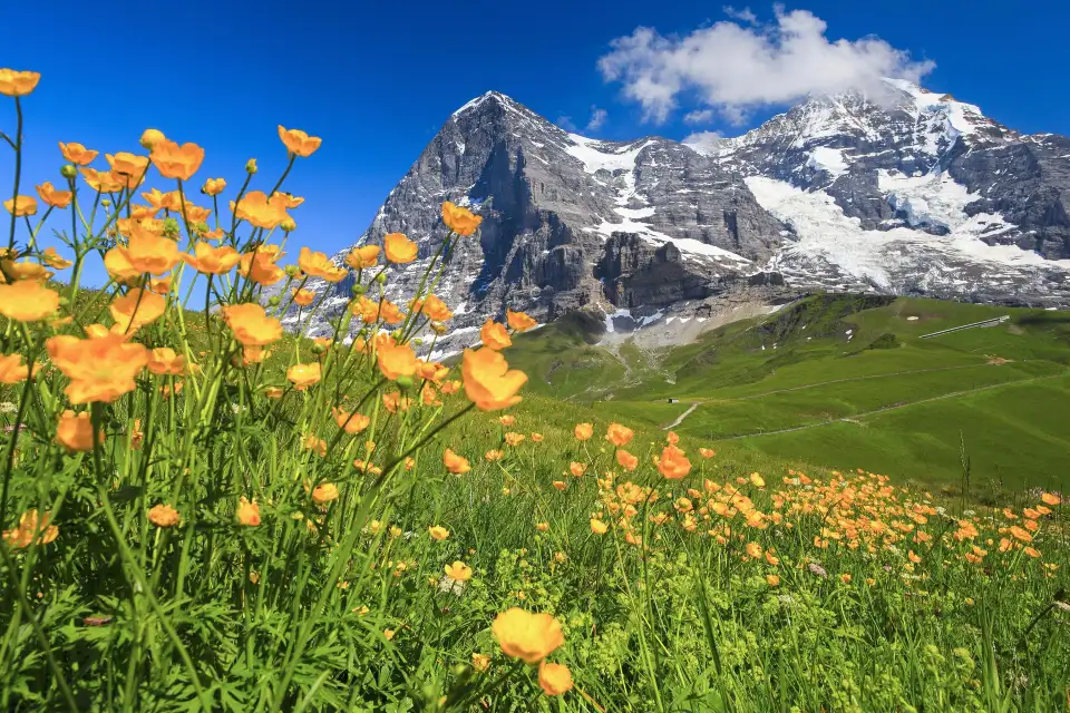 2_Eiger