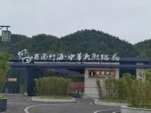Shunan Bamboo Sea - Panda Base
