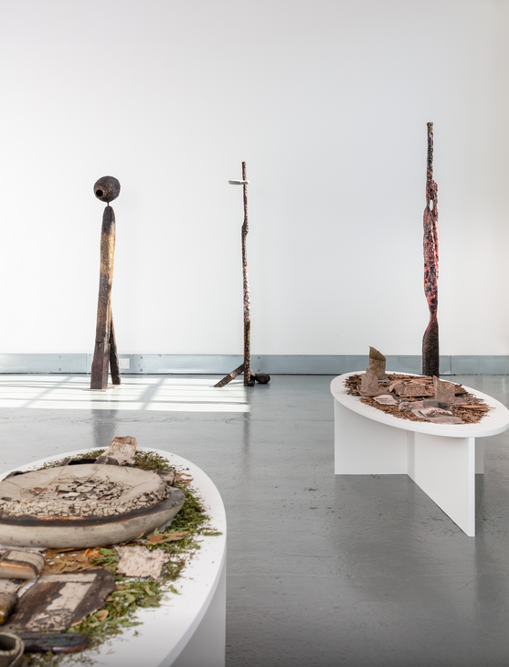 伊麗莎白·西·鮑爾&安德森·博爾巴《收穫》雙人展 | ELIZABETH XI BAUER