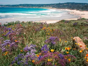 Carmel Beach