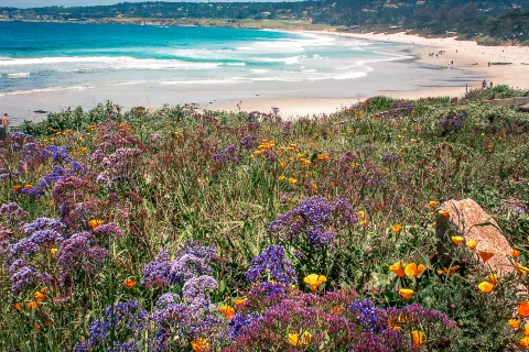 Carmel Beach