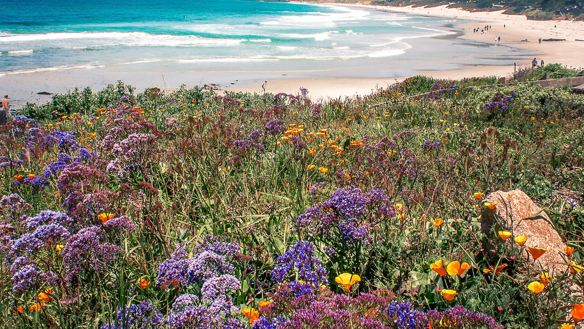 Hotels near Carmel Beach