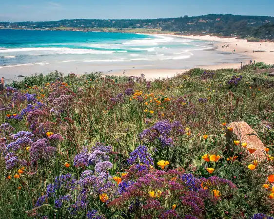 カーメル・ビーチ周辺のホテル