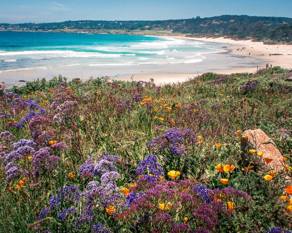 Carmel Beach