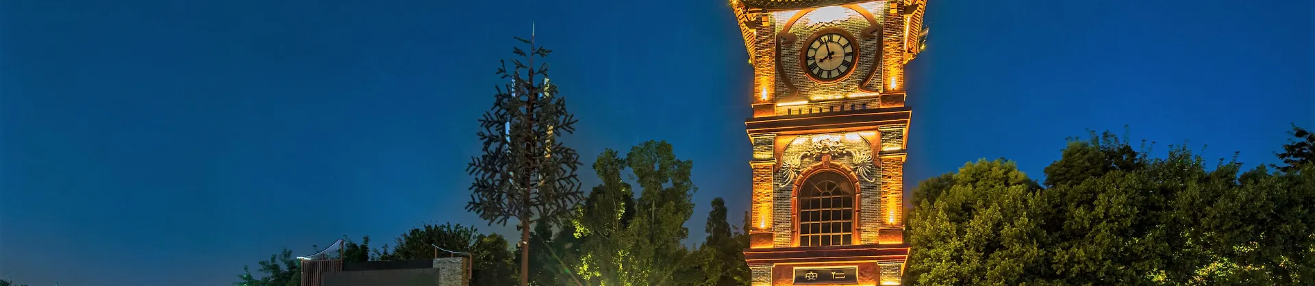 Night Attractions