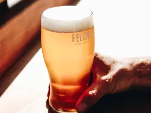 Felons Brewing Co