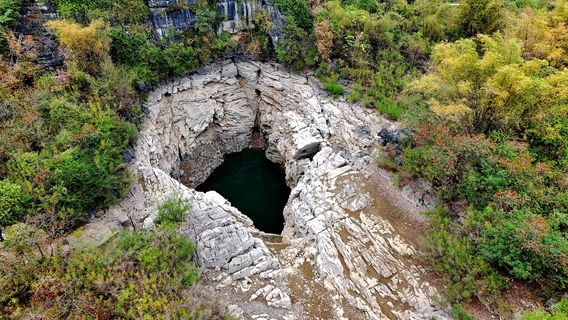 Peach Blossom Jellyfish Second Skylight