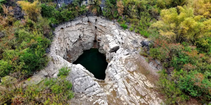 桃花水母第二天窗