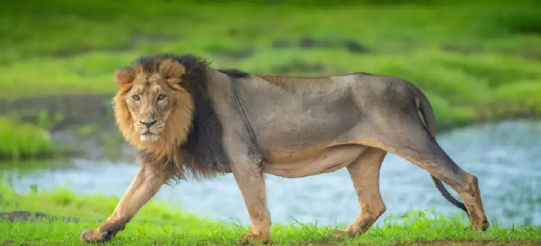 Hotels in Hartbeespoort