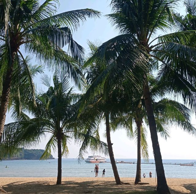 Camaya Coast