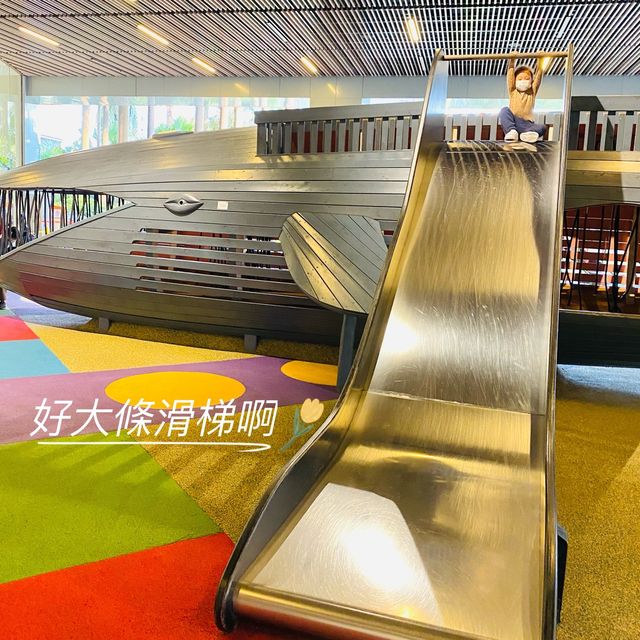 鯨魚遊樂場