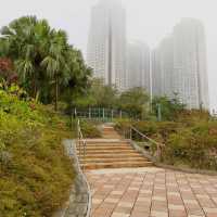 鳥語花香之地：佐敦谷公園