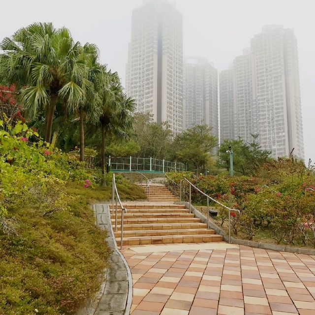 鳥語花香之地：佐敦谷公園