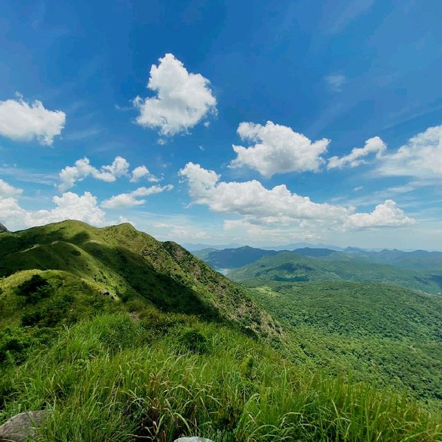 西貢與馬鞍山之間的大金鐘，風景優美，沿路鳥語花香，有山有水