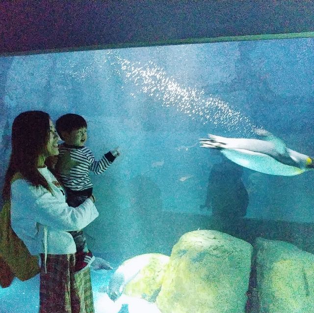 大阪親子遊 海遊館