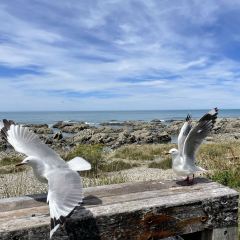 The Craypot Kitchen & Bar Kaikoura User Photo