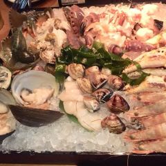 Addiction Aquatic Development User Photo