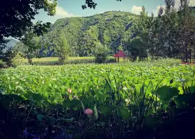 Zhangbaixian Shiliudaogoucun Xunyicao Manor