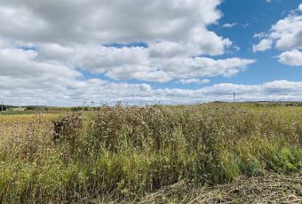 张北坝上草原聚汗轩农庄 여행 사진